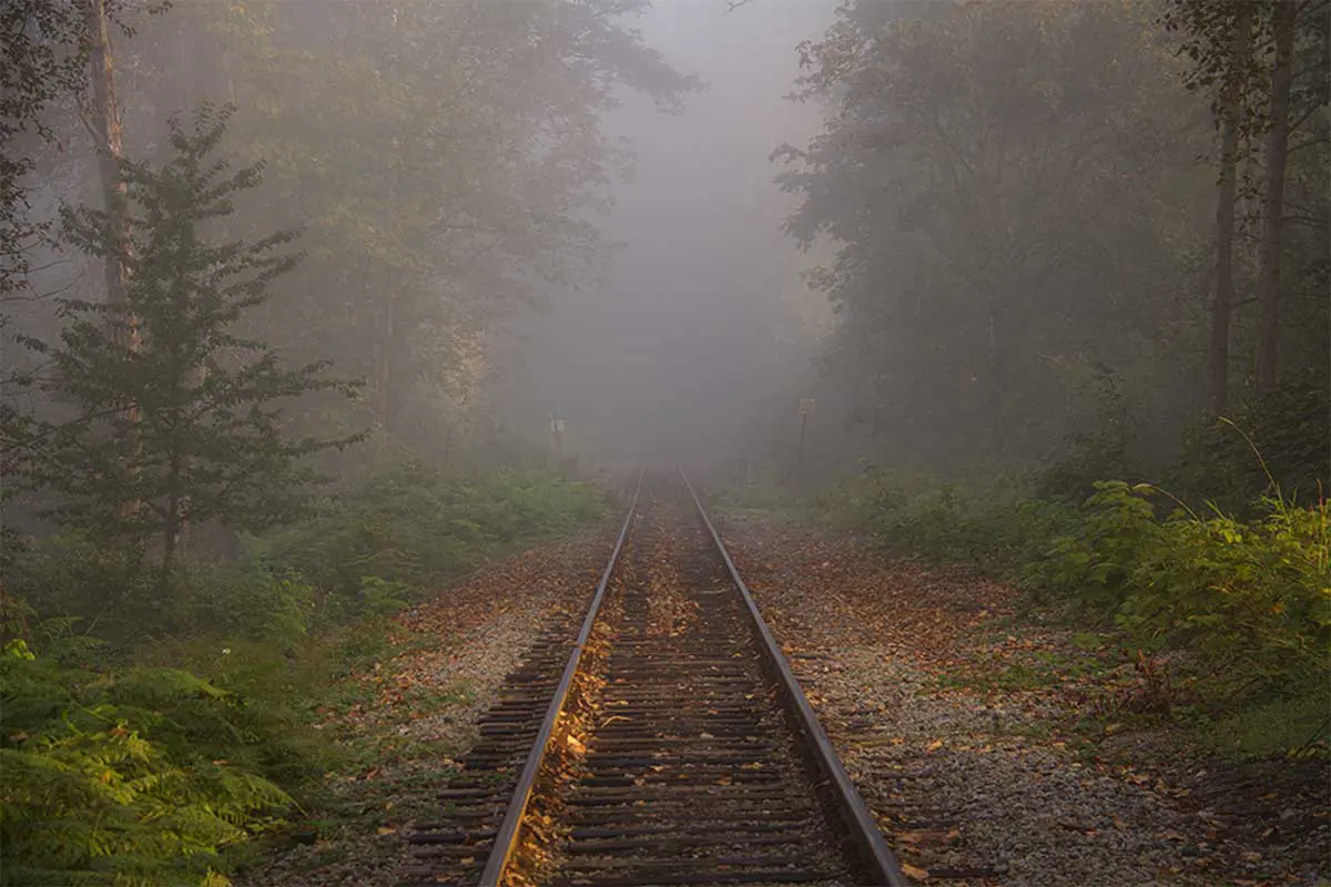 train tracks through fog