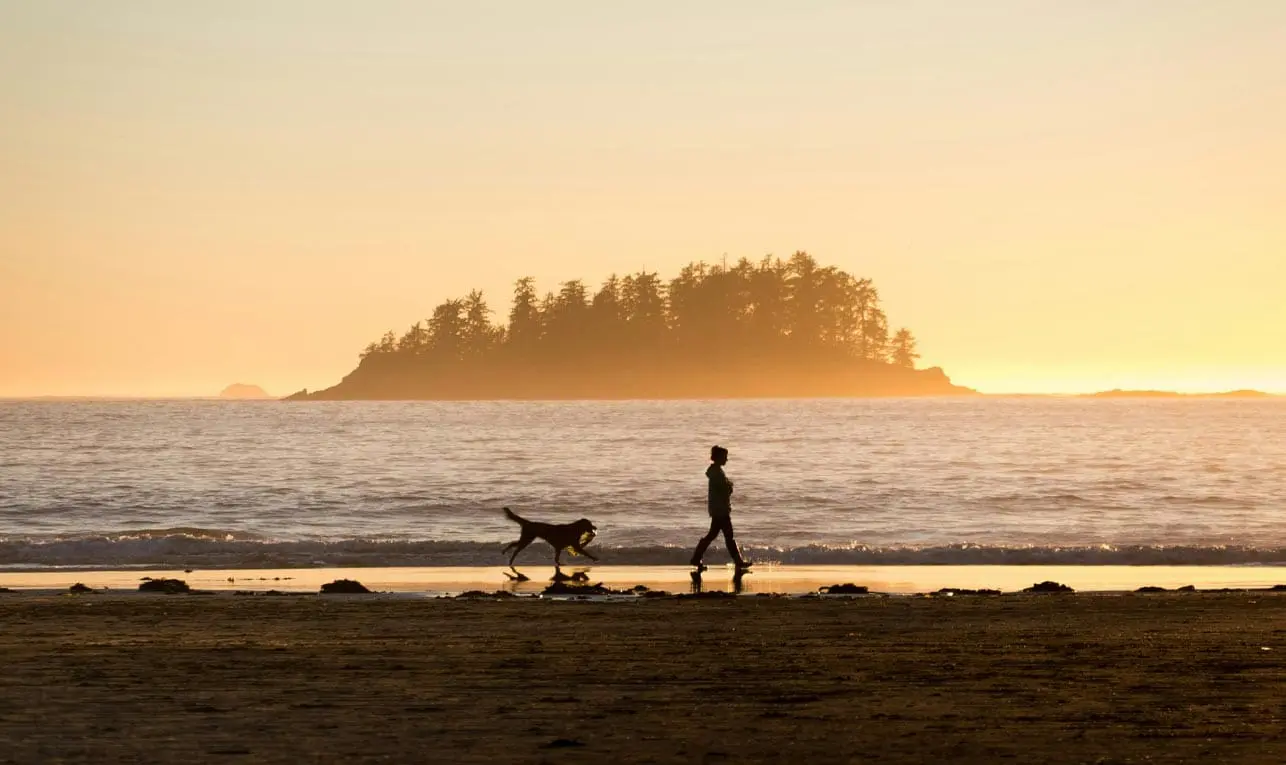 spencer-watson-unsplash_woman walking dog beach sunset