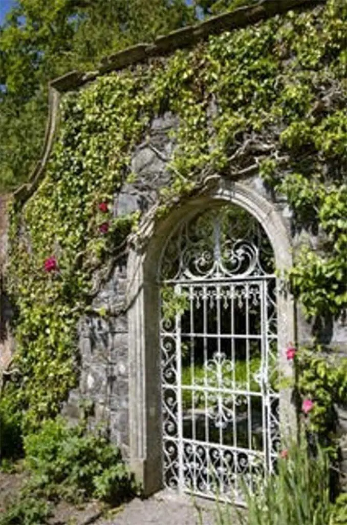 garden gate surrounded by green vines
