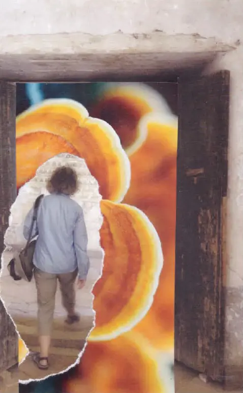 soulcollage by maryanne - stepping into the light