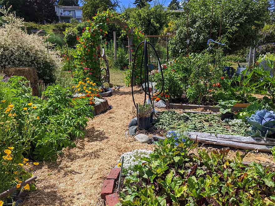 Pacha Mamita - Mary Wolfe garden in Victoria BC